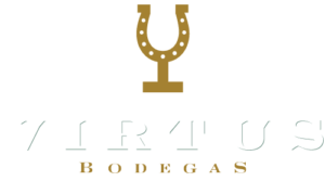 Logo Bodegas Virtus Ribera del Duero
