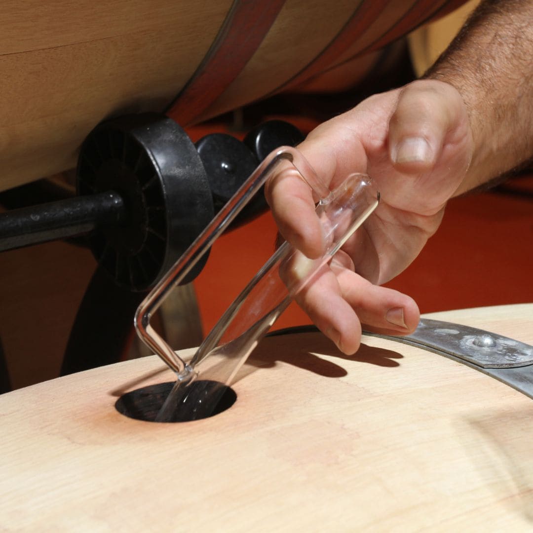 Sulfitos en los vinos