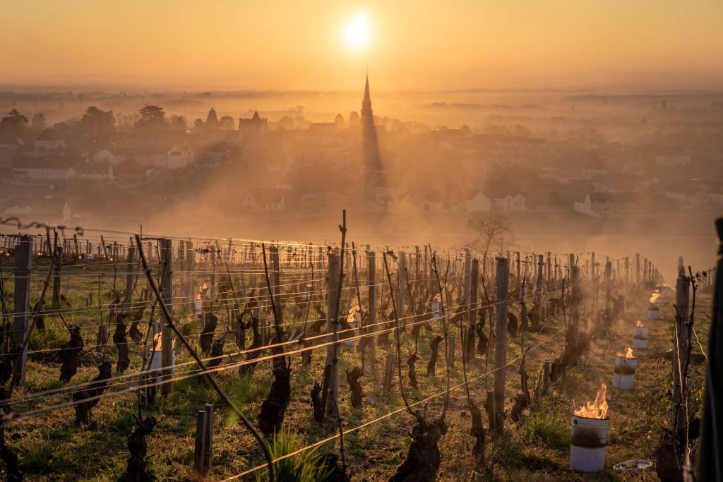Frost in Burgundy with candles in vineyards