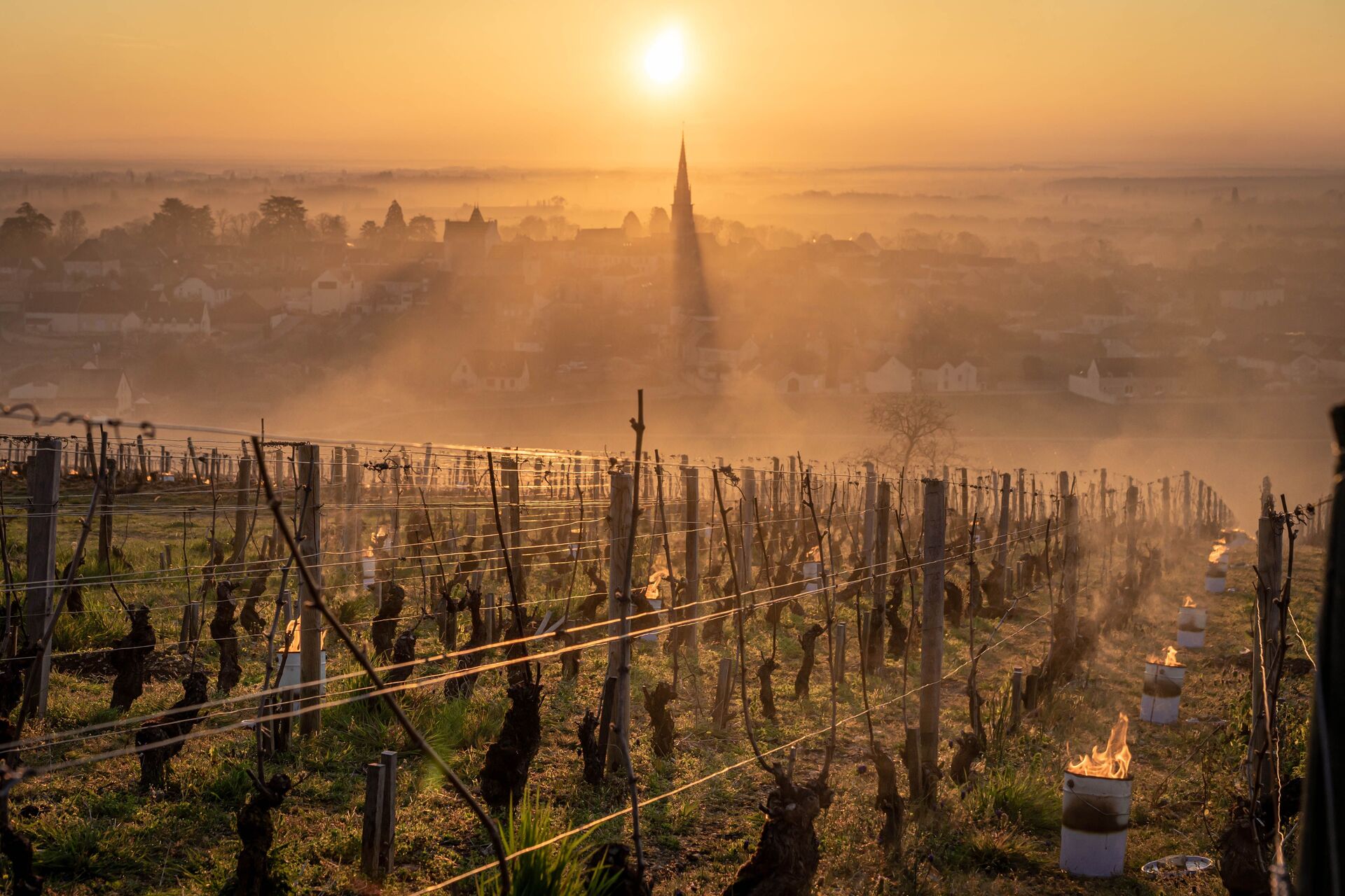 Frost in Burgundy with candles in vineyards