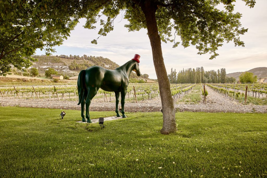 Ribera del Duero España