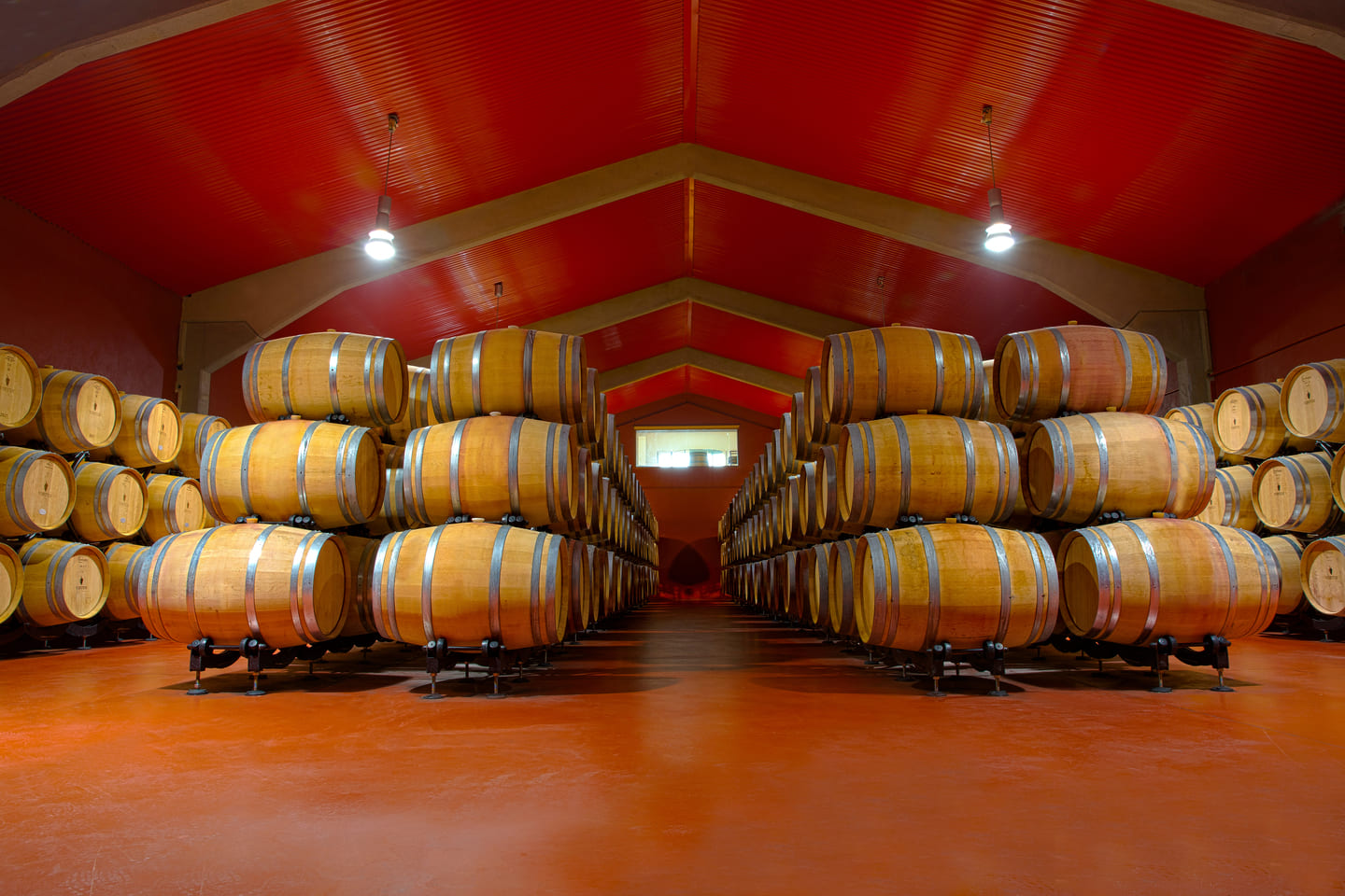 Vino Español Bodega Virtus