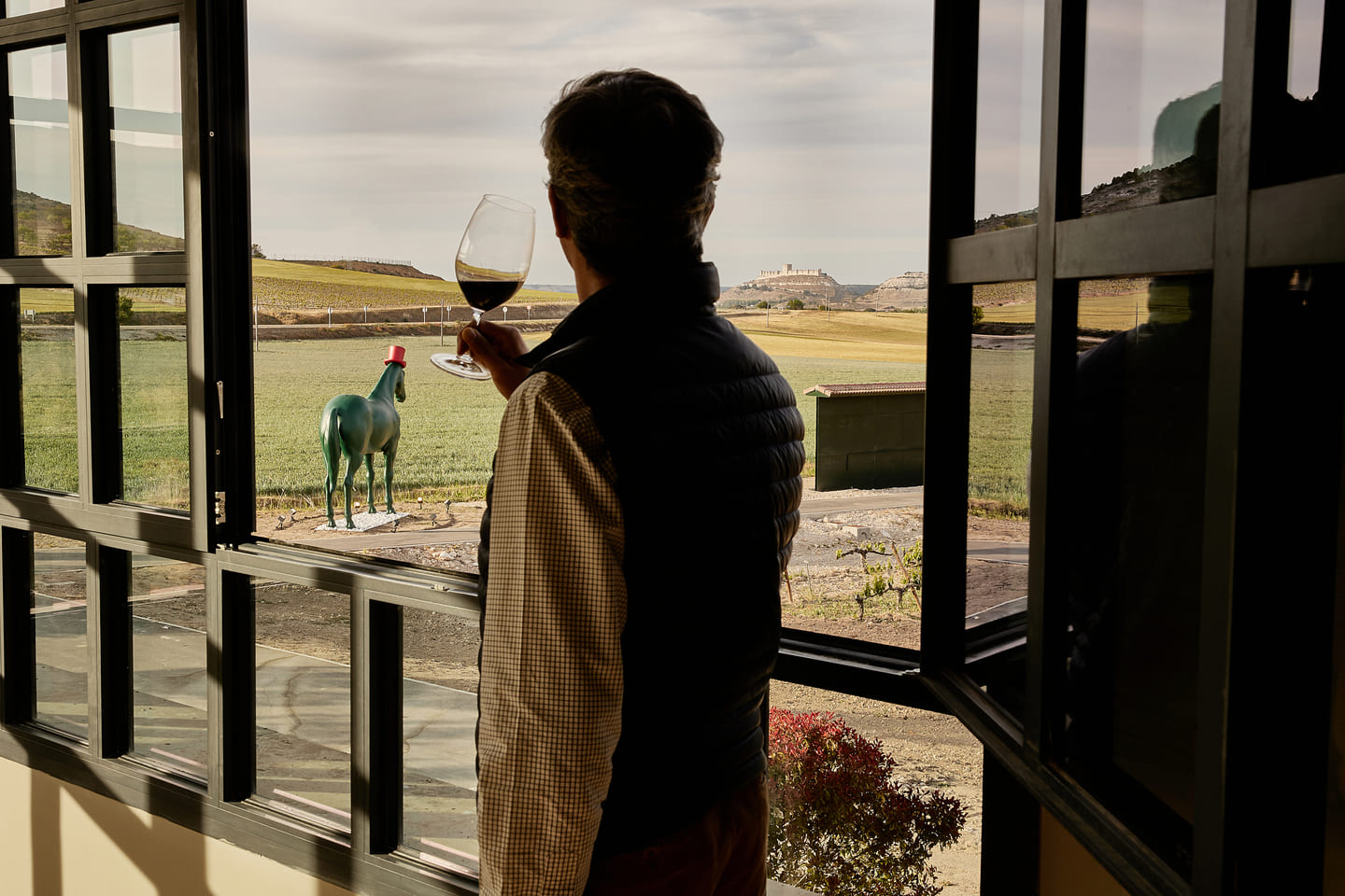 Vino Ribera del Duero México