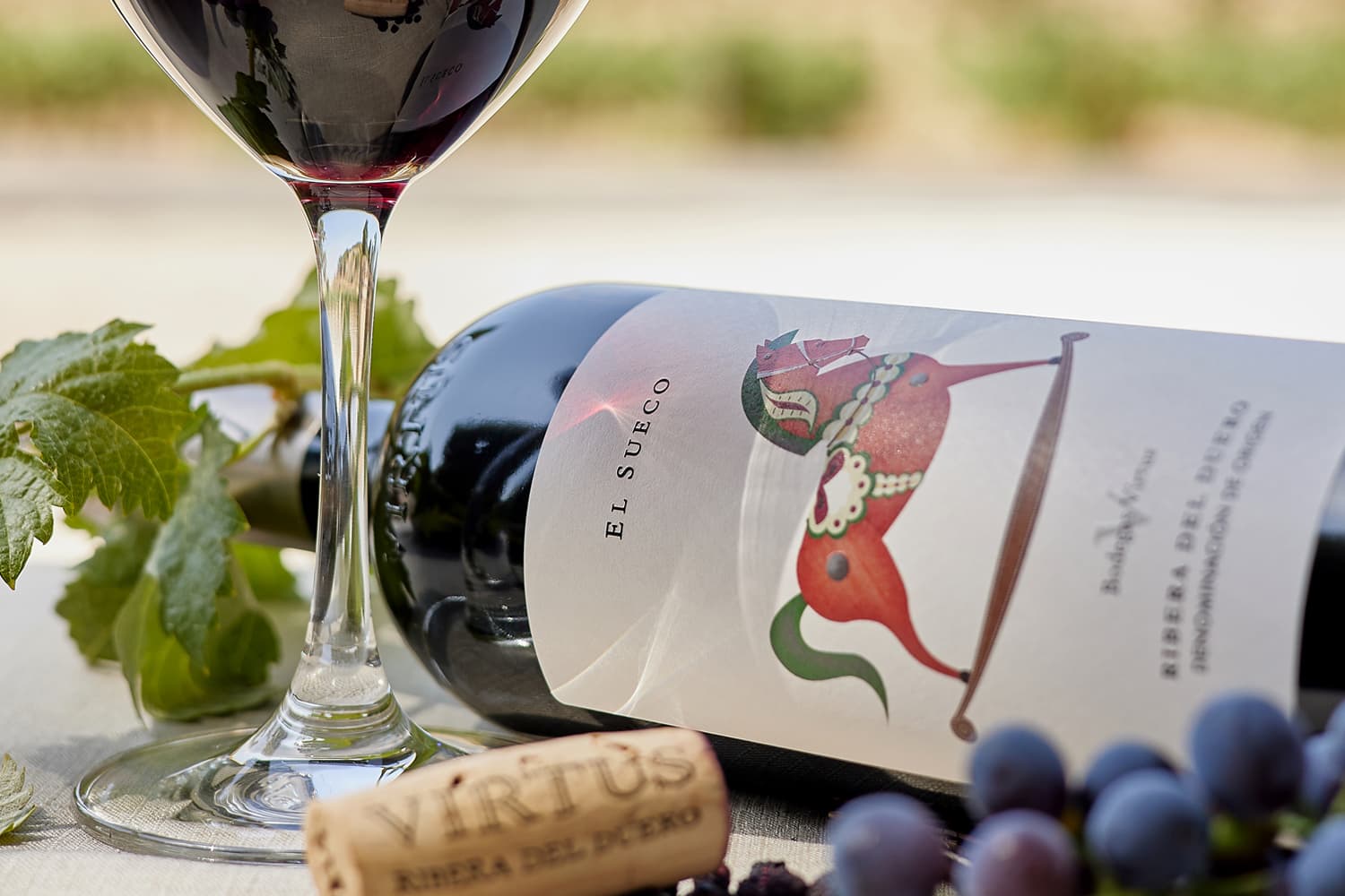 Vino Tinto Español