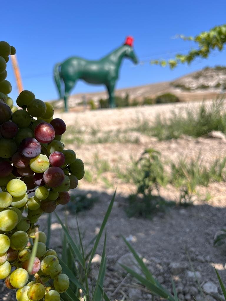 la calidad de los Viñedos Ribera del Duero de España