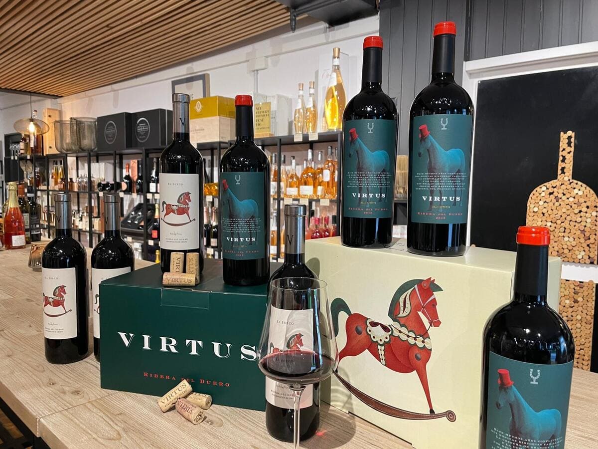 los diferentes Tipos de Vino Ribera del Duero
