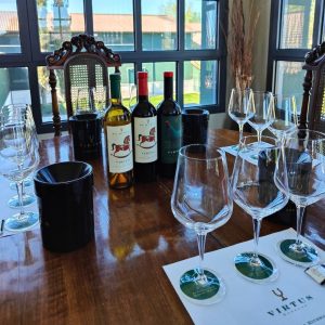 Guía para Disfrutar de la Ribera del Duero
