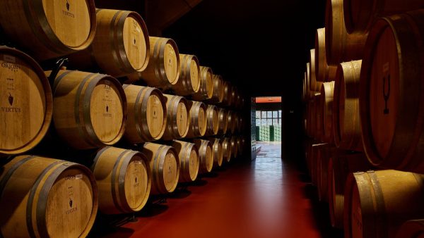 Virtus Wine La Ribera del Duero Winery de Excelencia