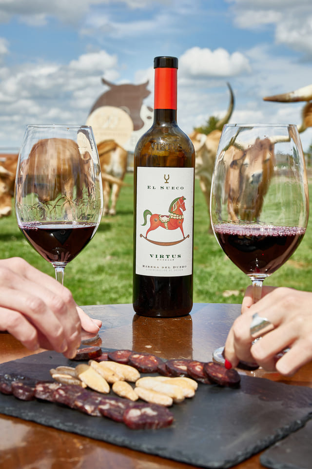 Vino Virtus Comer en la Ribera del Duero