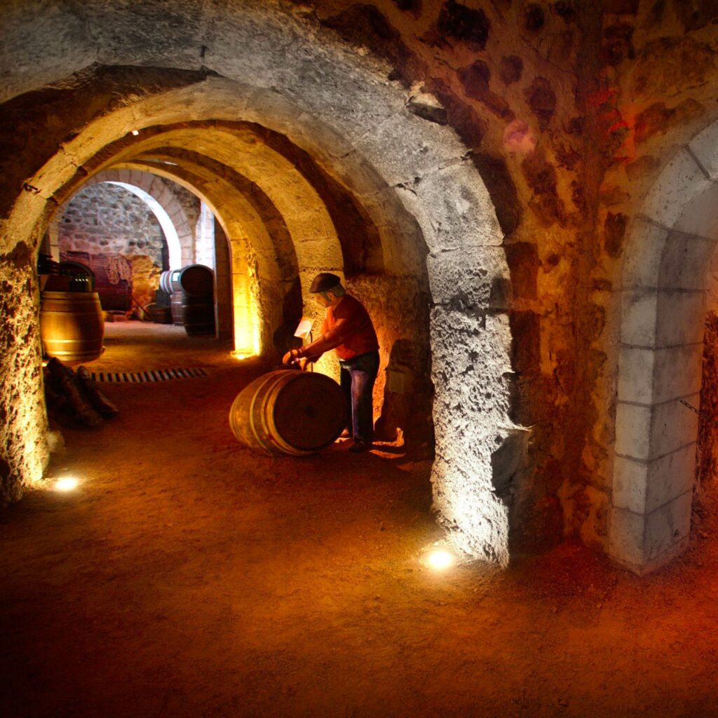 Bodega Medieval Aranda de Duero