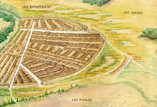 La reconquista en la Historia del vino en la Ribera del Duero