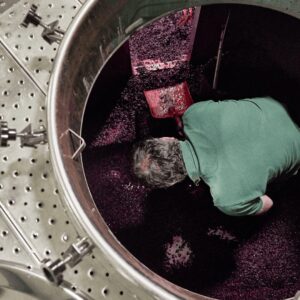 fermentación alcohólica de los vinos