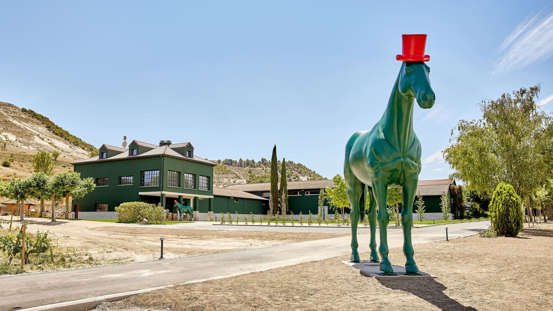 Visita privada en Bodega en la Ribera del Duero