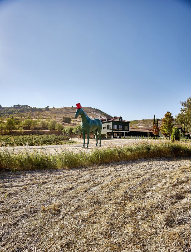 visita privada en Bodega en Aldeyuso