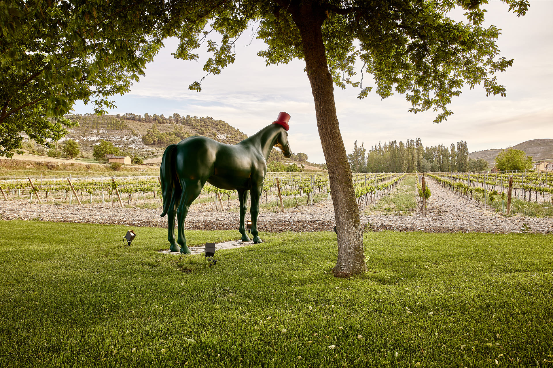 visita privada en Bodega en Valladolid