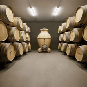 Otoño con Virtus: redescubre el vino en la Ribera del Duero