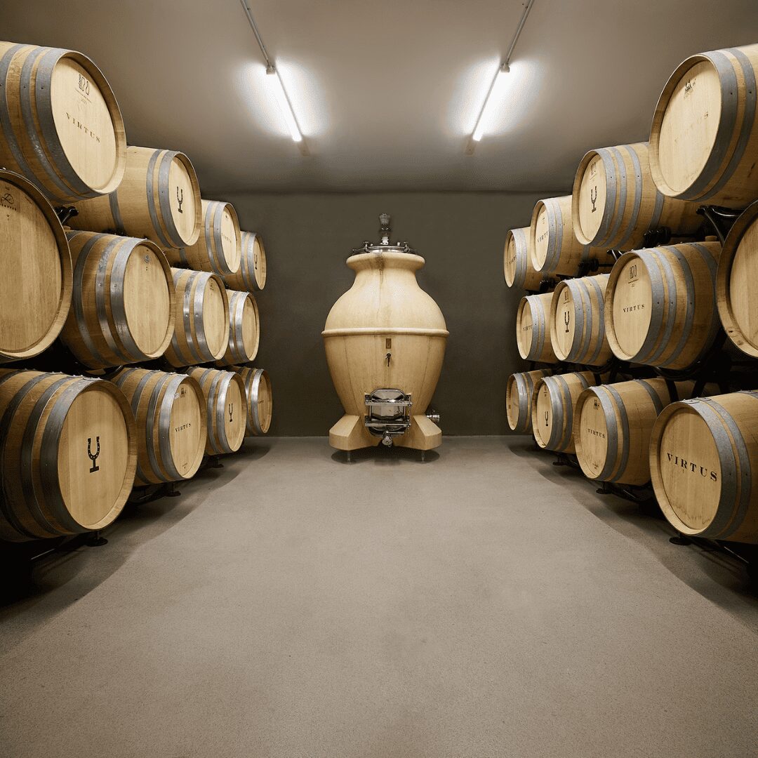 Otoño con Virtus: redescubre el vino en la Ribera del Duero