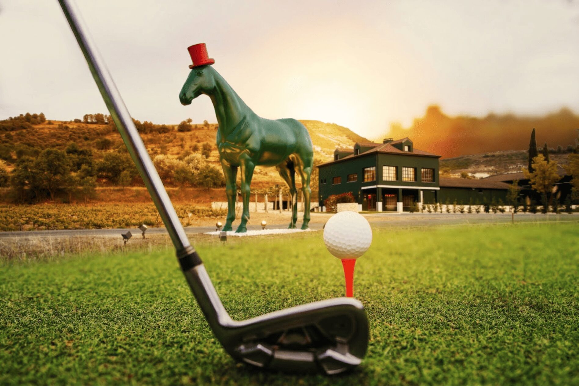 Golf y vino