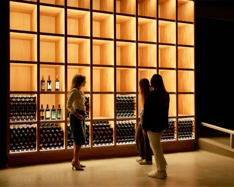 enoturismo ribera duero