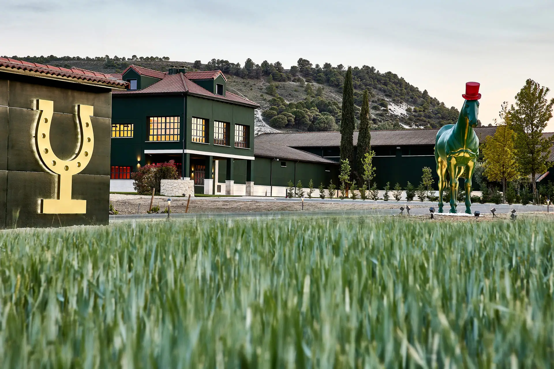 Visitar bodega en Ribera del Duero