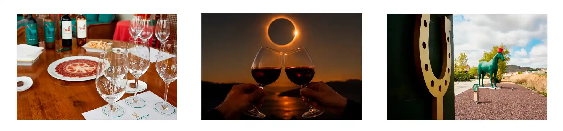 Eclipse solar en la Ribera deL Duero