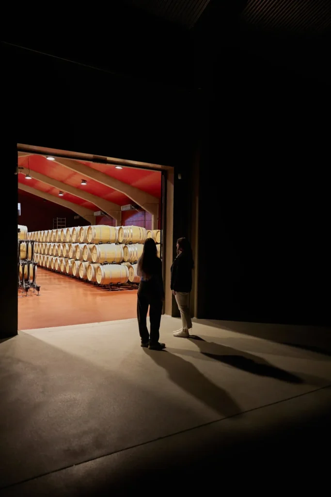 visitar una bodega