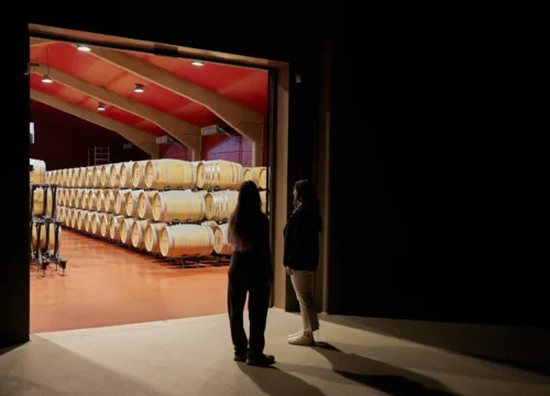 visitar una bodega