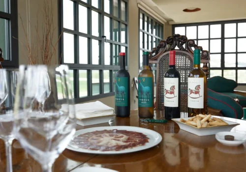 visitar una bodega